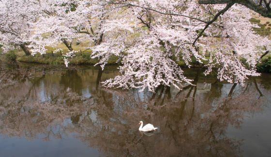 ケータリングメニューがリニューアル 奥卯辰山健民公園で手ぶらバーベキュー いいじ金沢