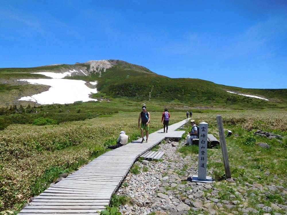 自然 7月から花の時期を迎えた 白山 を登ってきました いいじ金沢