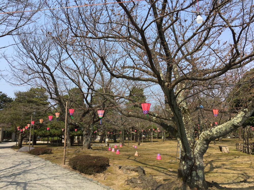 おでかけ 小松市の芦城公園 桜の名所としても人気 いいじ金沢