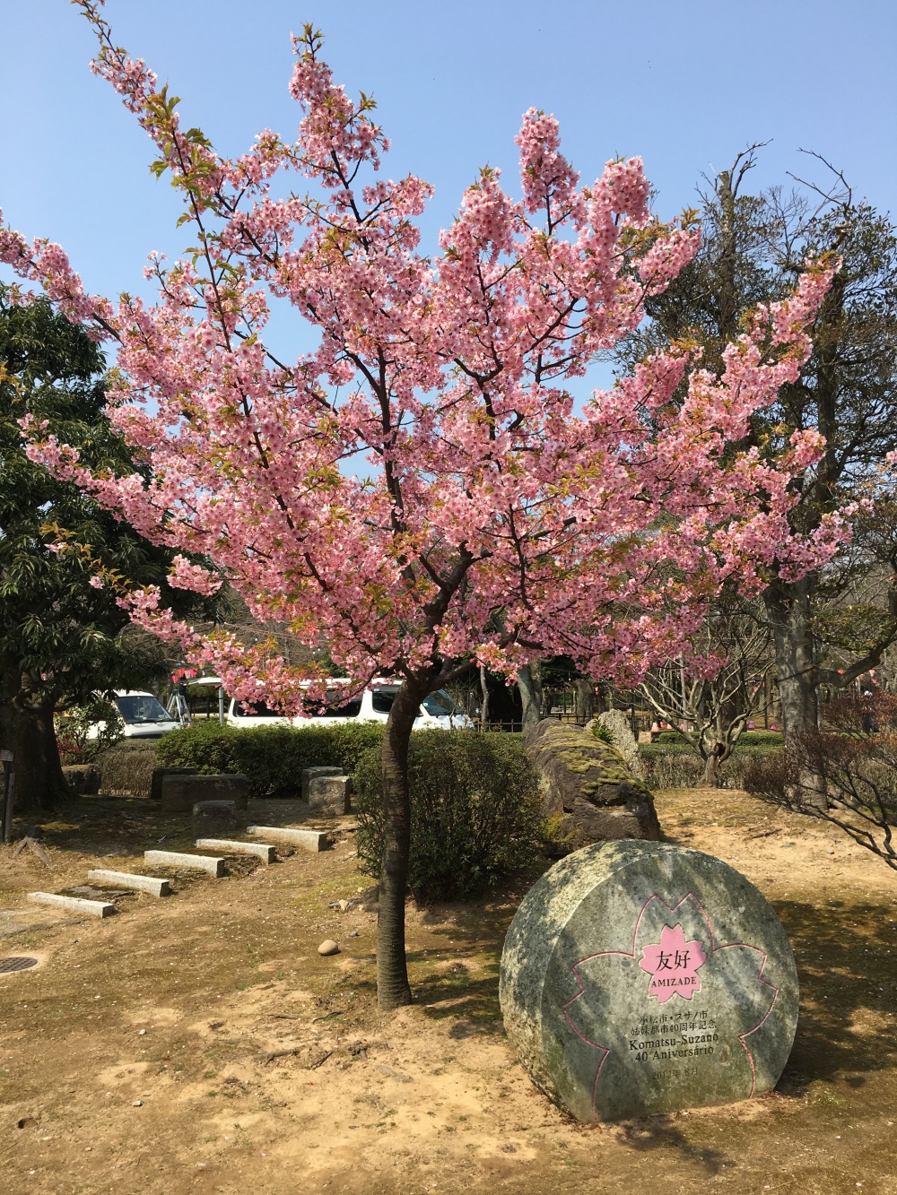 おでかけ 小松市の芦城公園 桜の名所としても人気 いいじ金沢