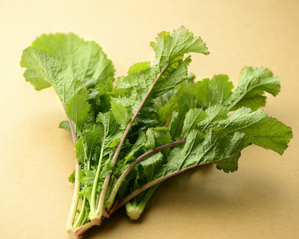 加賀野菜 もう食べた 辛味がきいた 二塚からしな と正月の縁起物 くわい 金沢のおいしい野菜 加賀野菜出荷情報 いいじ金沢