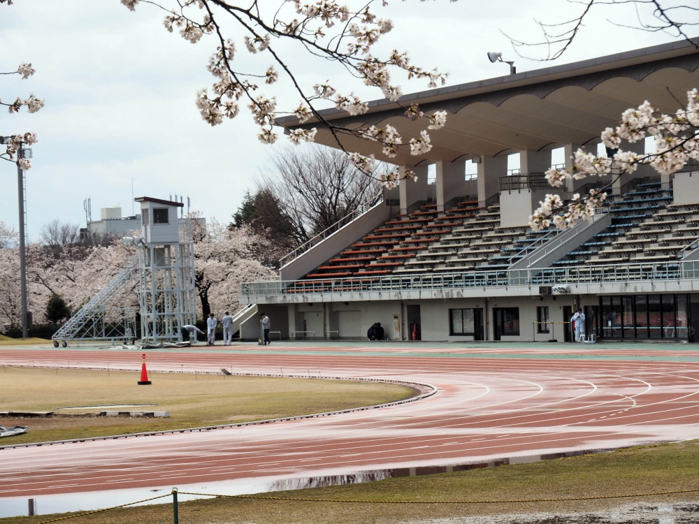 花見 金沢市営陸上競技場の桜が満開です 駐車場もいっぱい いいじ金沢