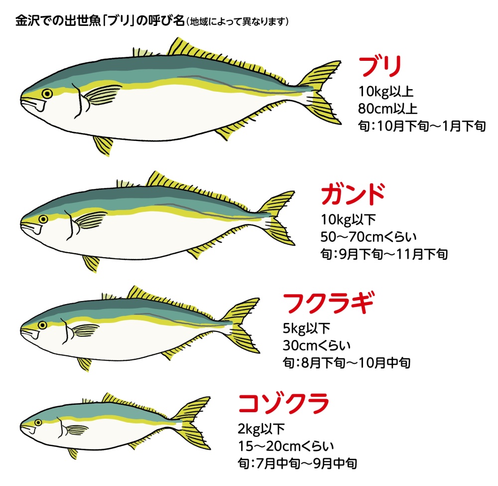 金沢での出世魚ブリの呼び名