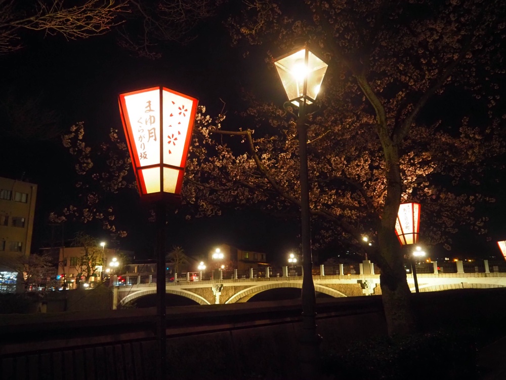 浅野川大橋とぼんぼりと夜桜