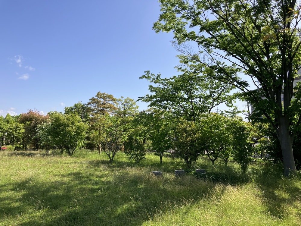 石川県庁横「ふるさとの庭」