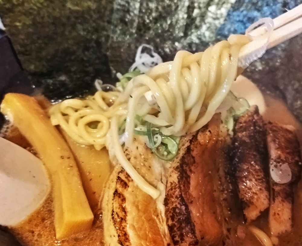 「麺屋ホトトギス」の魚介豚骨ラーメン