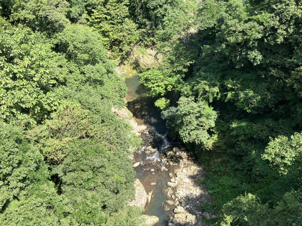 熊橋大橋下の景色