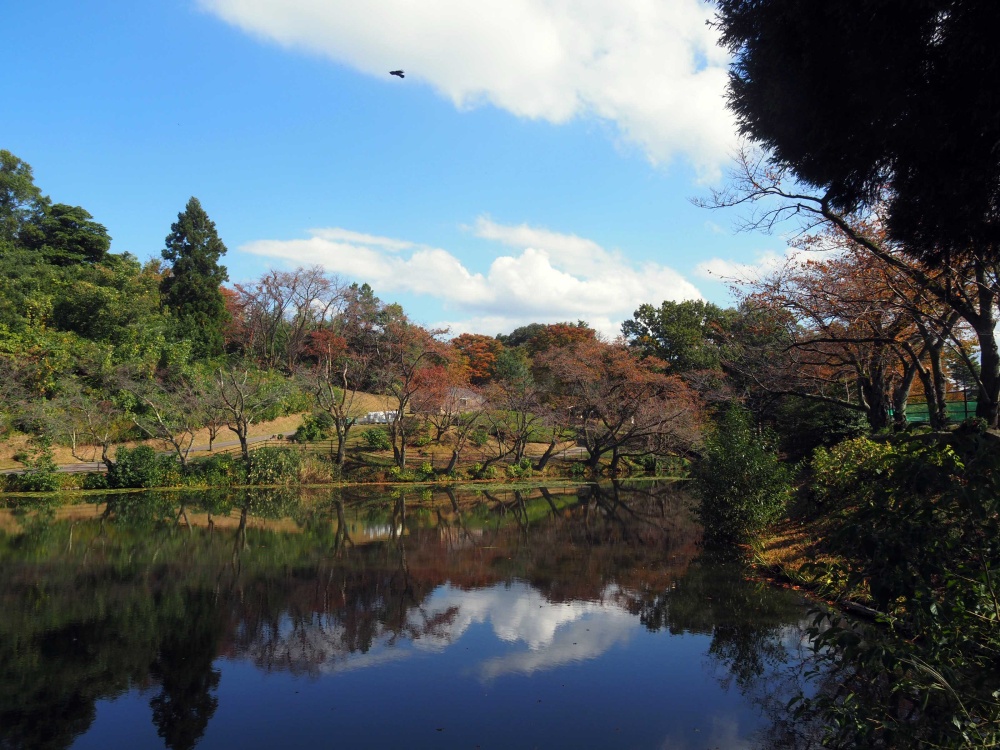 奥卯辰山健民公園の大池