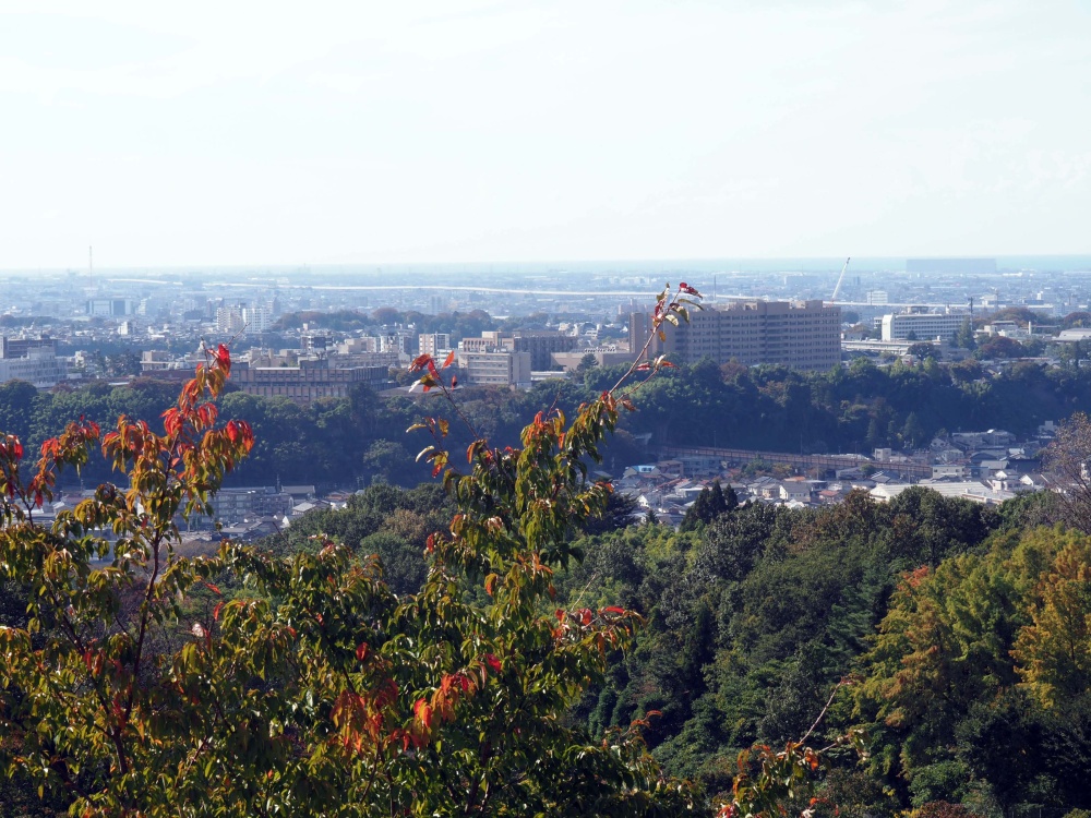 奥卯辰山健民公園からの眺望